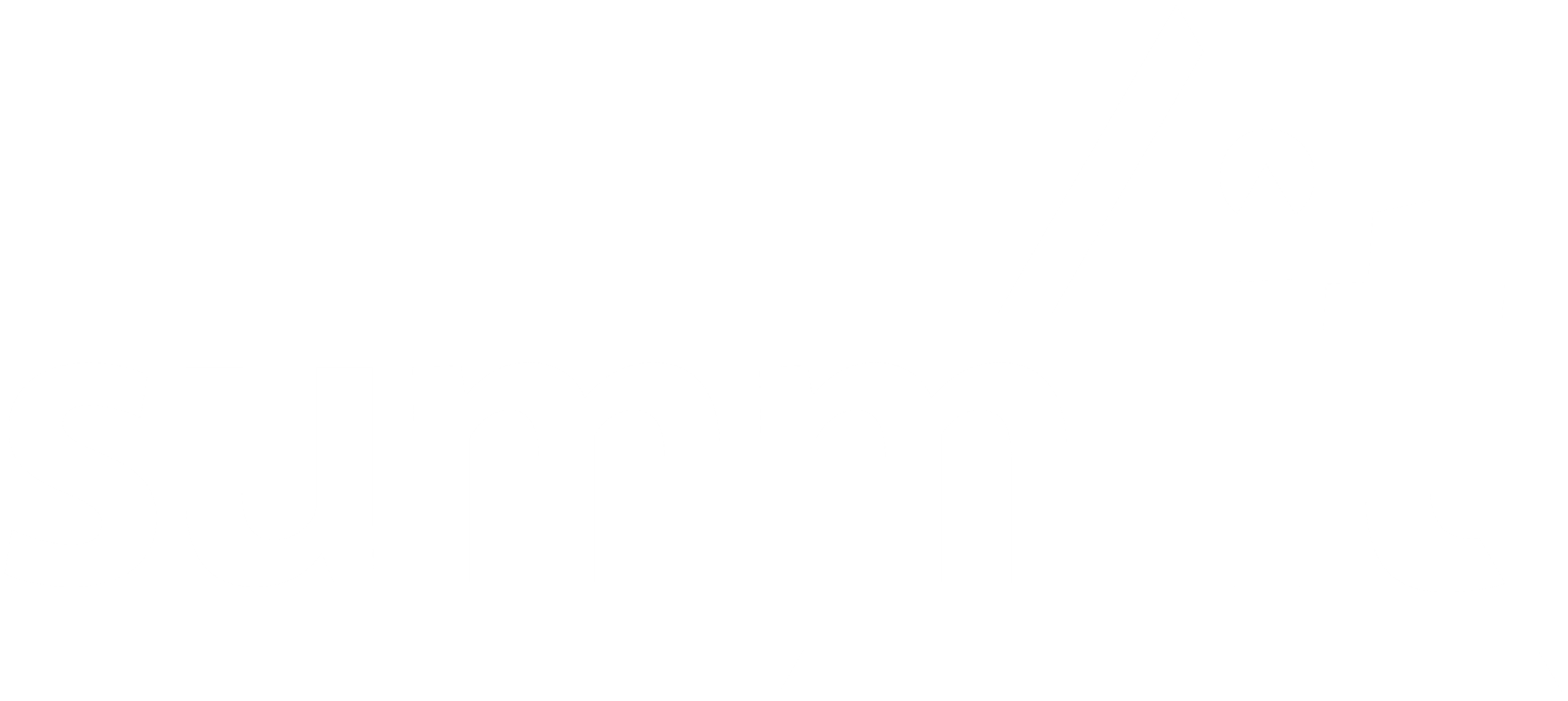 logo summ-it